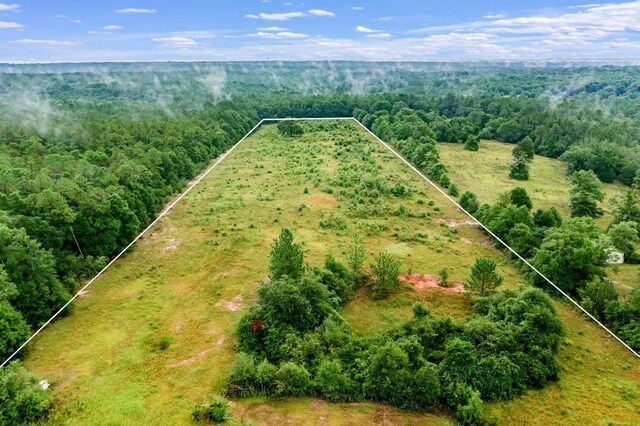 5195 Galliver Cut Off, Baker, FL 32531 - photo 13