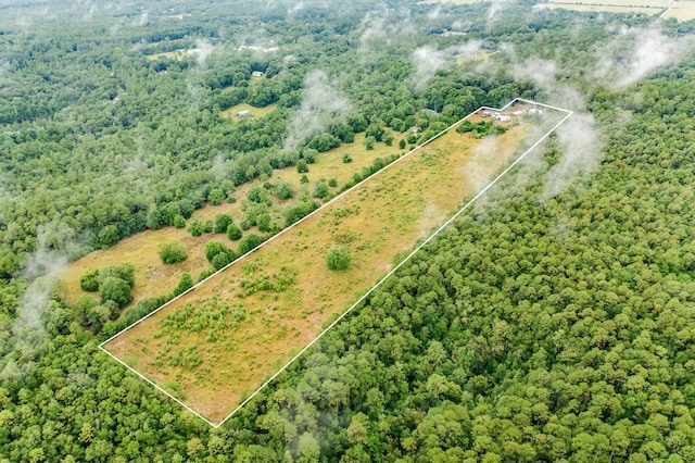 5195 Galliver Cut Off, Baker, FL 32531 - photo 15