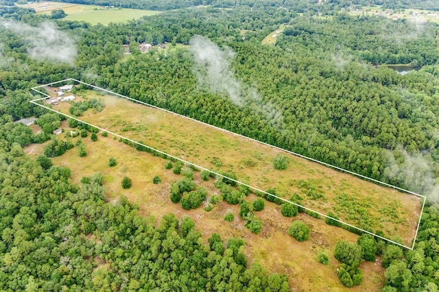 5195 Galliver Cut Off, Baker, FL 32531 - photo 16