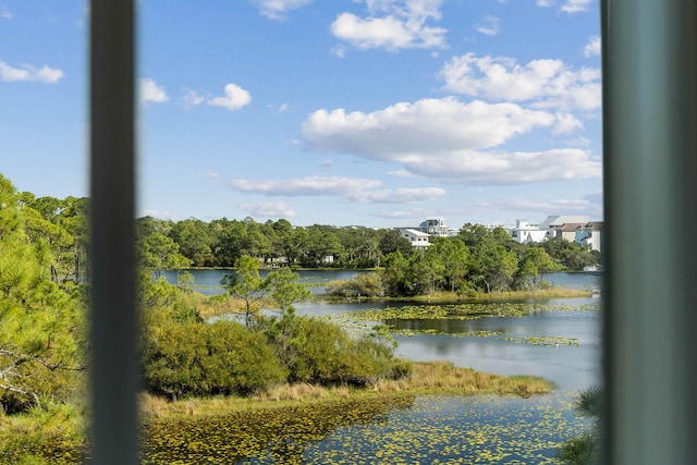 property view of water