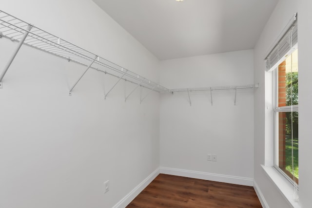 spacious closet with dark wood-type flooring