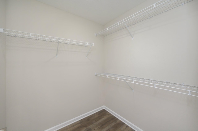 walk in closet featuring hardwood / wood-style flooring