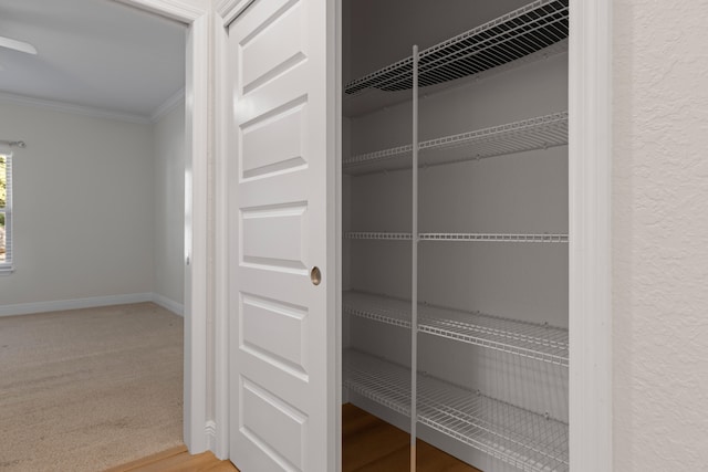 view of closet