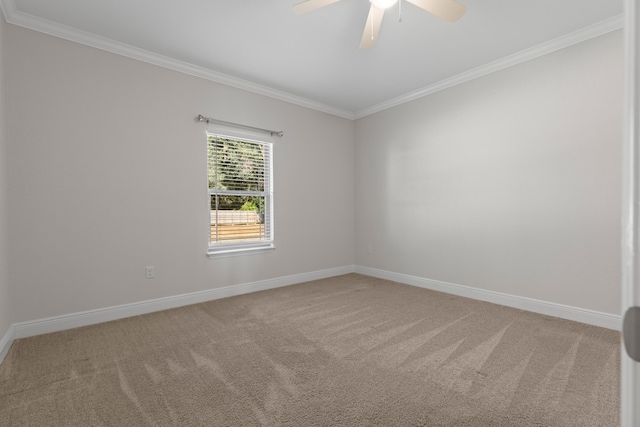 carpeted empty room with ceiling fan and ornamental molding