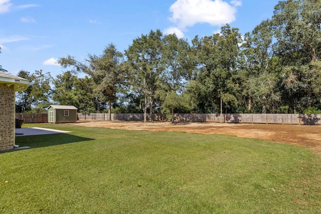 view of yard with a storage shed