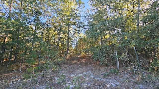 Listing photo 2 for TBA Linda Ln, Defuniak Springs FL 32433