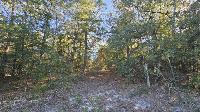 TBA Linda Ln, Defuniak Springs, FL 32433