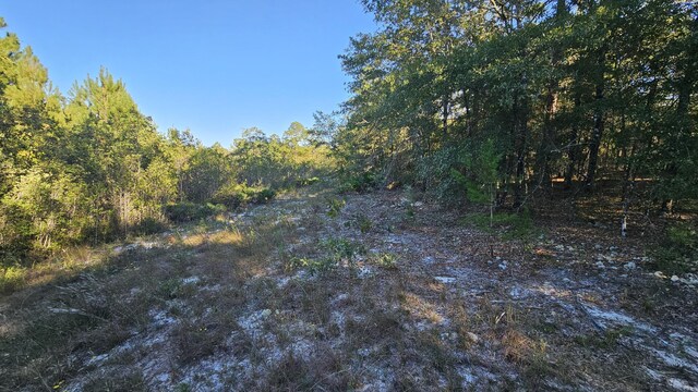 TBA Linda Ln, Defuniak Springs, FL 32433