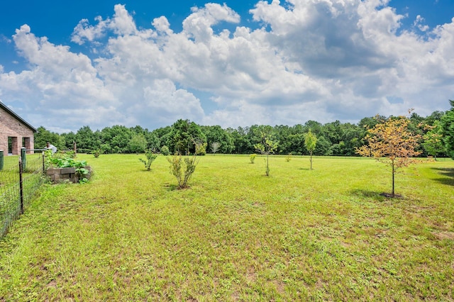 view of yard with a rural view