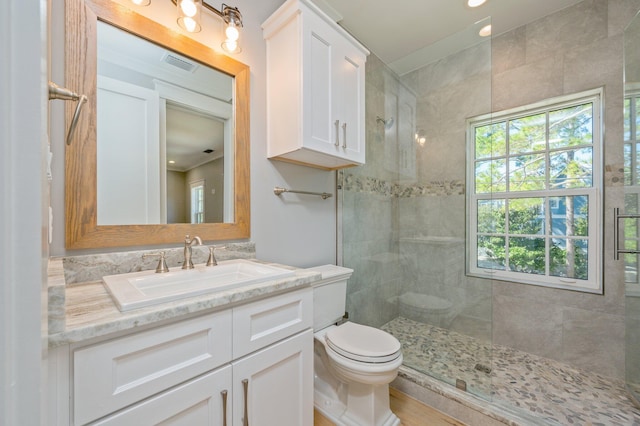 bathroom with toilet, vanity, and walk in shower