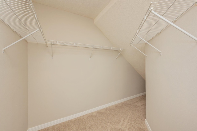 walk in closet with carpet floors