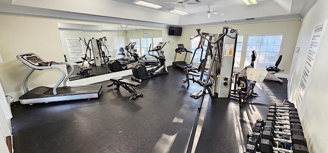 exercise room featuring baseboards, a tray ceiling, a ceiling fan, and crown molding