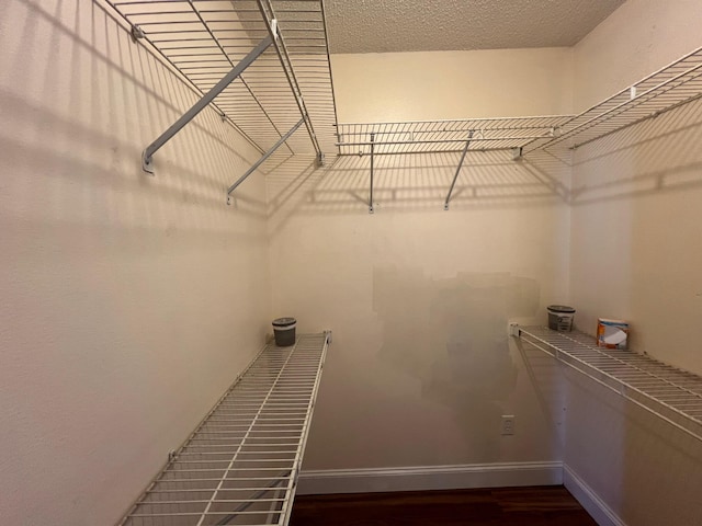 walk in closet with dark wood-type flooring