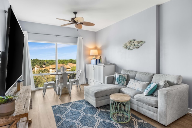 living room with ceiling fan and wood-type flooring