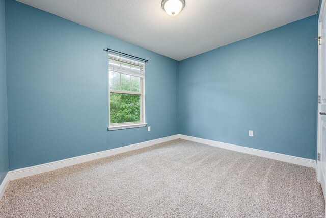 unfurnished room featuring carpet floors and a textured ceiling