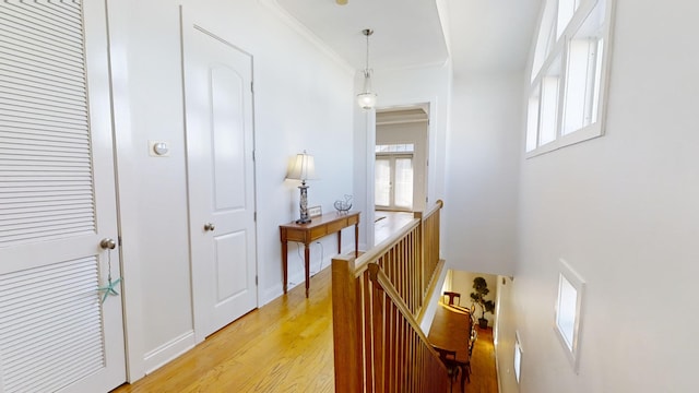 hallway with ornamental molding and light wood-type flooring