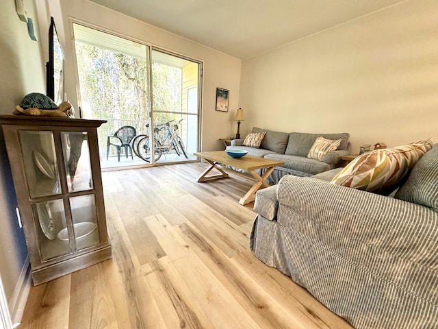 living room with light wood-type flooring