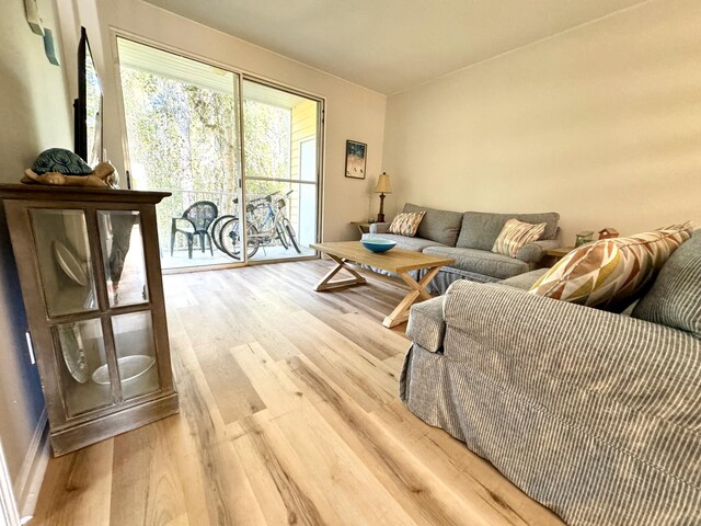 200 Sandestin Ln Unit 1307, Miramar Beach, FL 32550 - living area with light wood-style flooring
