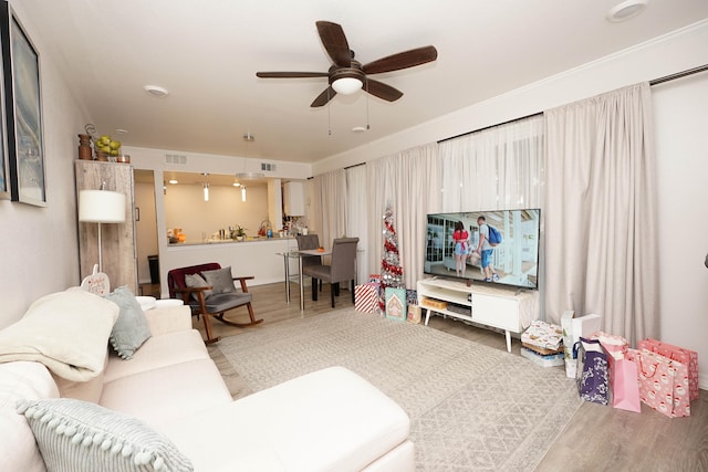 living room with ceiling fan and wood-type flooring