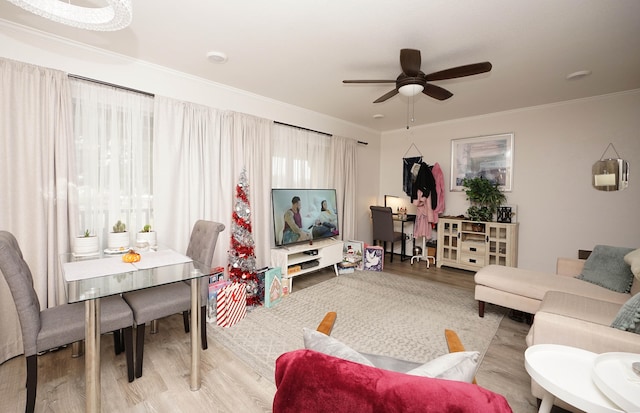 living room featuring light hardwood / wood-style floors, ceiling fan, and ornamental molding