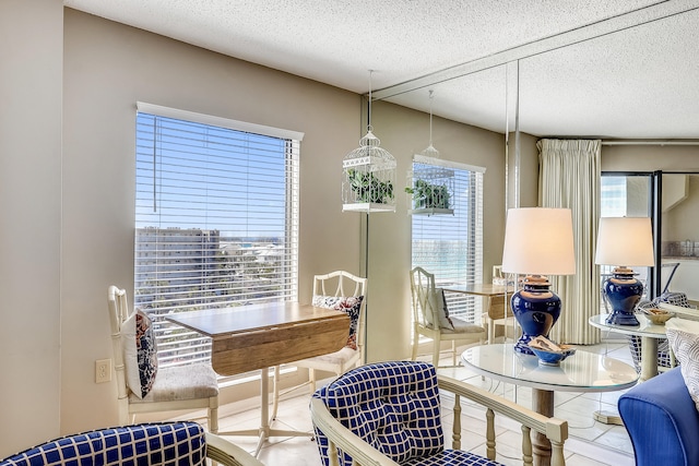 dining room with a textured ceiling and a healthy amount of sunlight