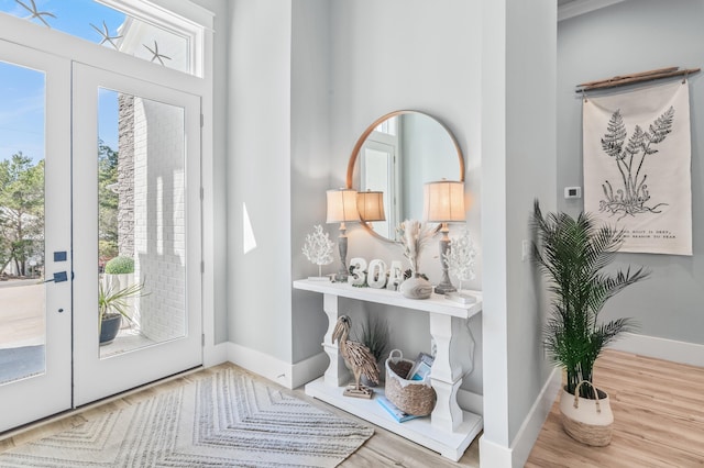 88 Beth Ln, Santa Rosa Beach, FL 32459 - entrance foyer with wood finished floors, baseboards, and french doors