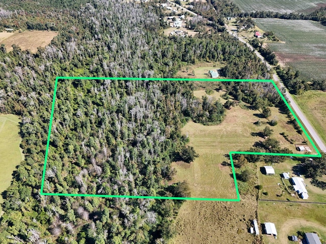 Listing photo 2 for 13.7ACRES Alliance Rd, Marianna FL 32448