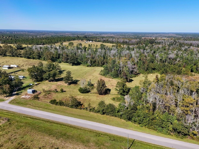 13.7ACRES Alliance Rd, Marianna FL, 32448 land for sale