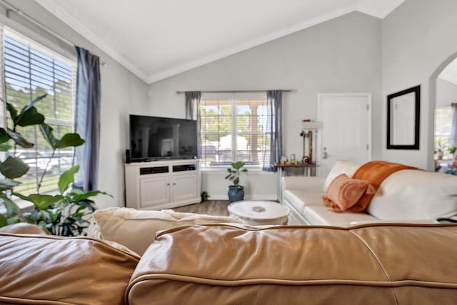 living room featuring lofted ceiling and hardwood / wood-style floors