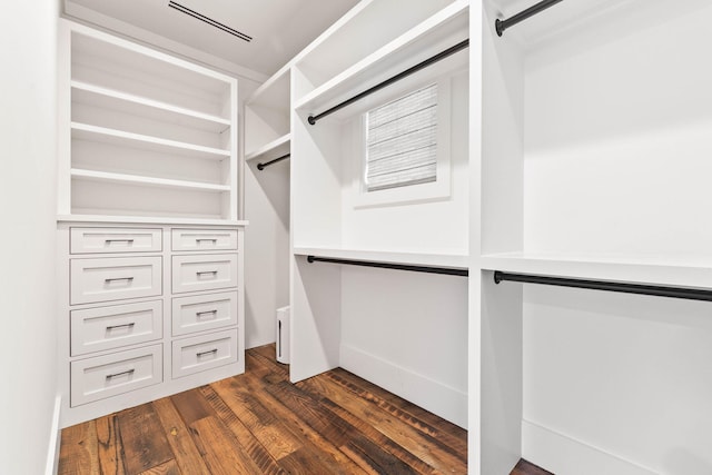 spacious closet featuring dark hardwood / wood-style floors