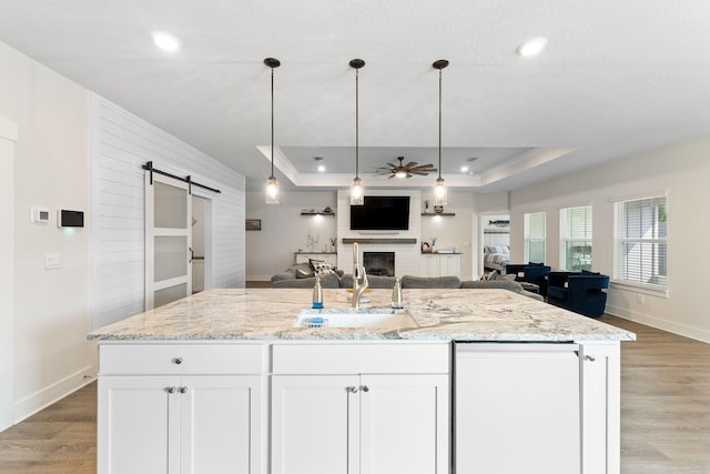 kitchen featuring white cabinetry, a raised ceiling, sink, and a barn door