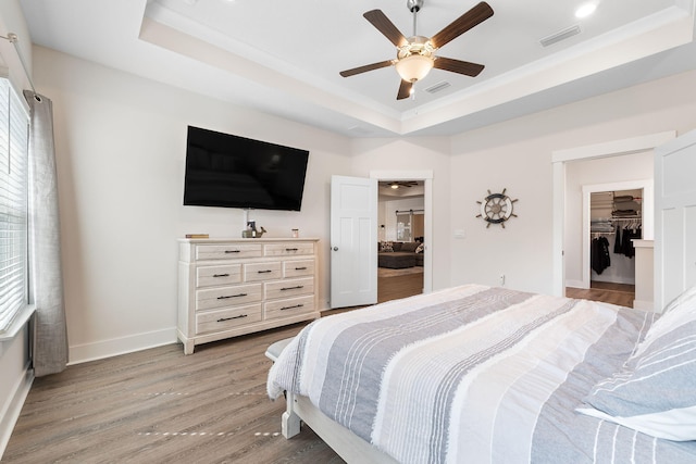 bedroom featuring a closet, a tray ceiling, wood-type flooring, a spacious closet, and ceiling fan