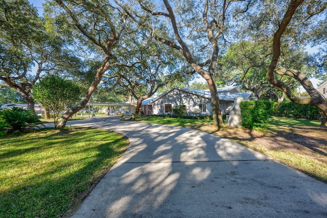 single story home featuring a front lawn