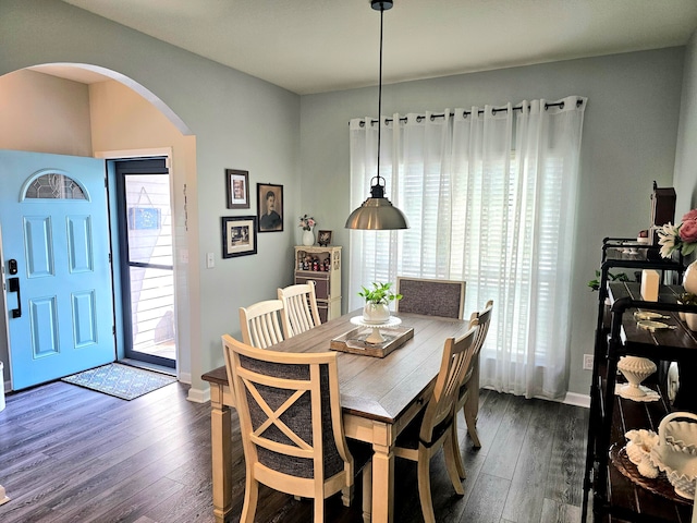 dining room with a healthy amount of sunlight and dark hardwood / wood-style flooring