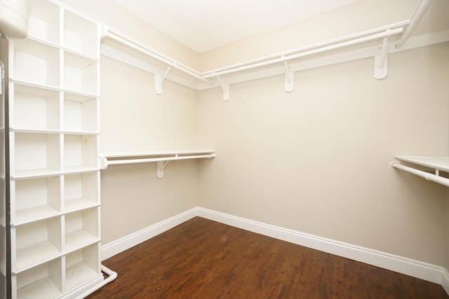 walk in closet with dark hardwood / wood-style flooring