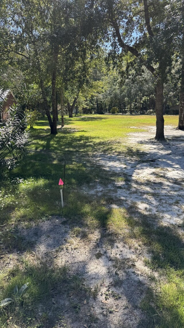 LOT3 Rodney Dr, Freeport, FL 32439 - photo 3