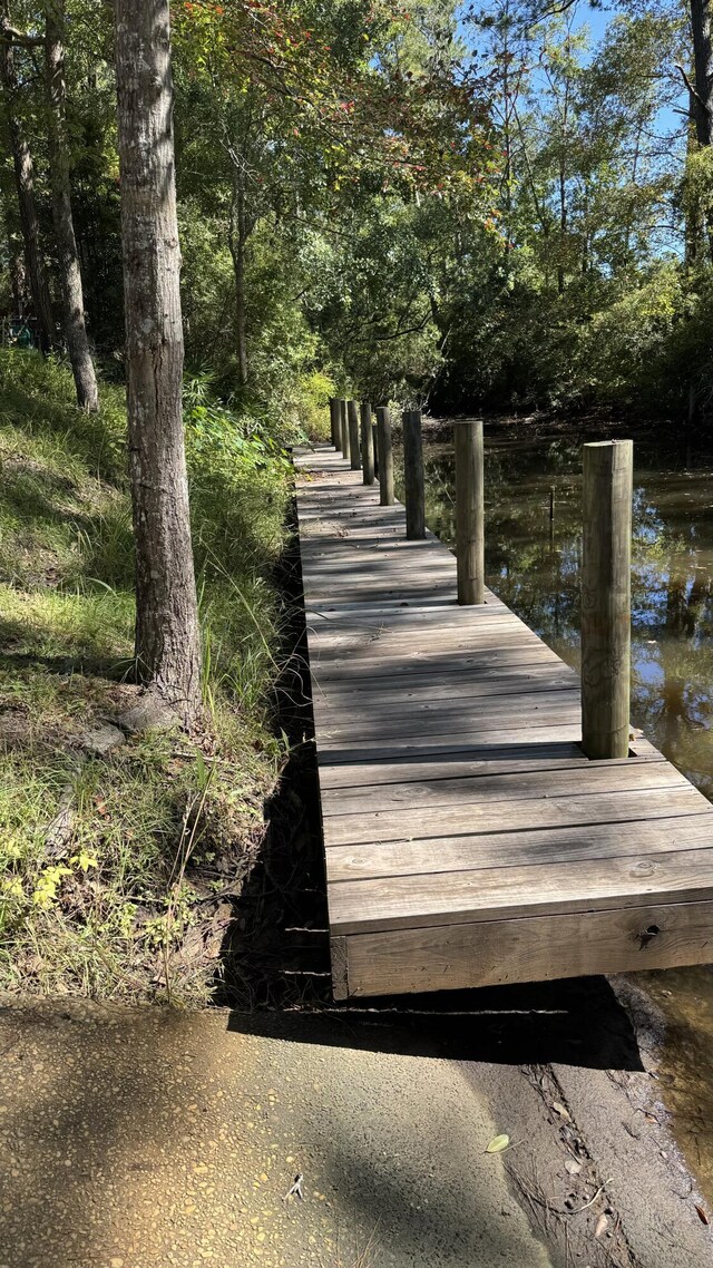LOT3 Rodney Dr, Freeport, FL 32439 - photo 11