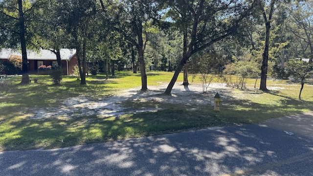 LOT3 Rodney Dr, Freeport, FL 32439 - photo 16