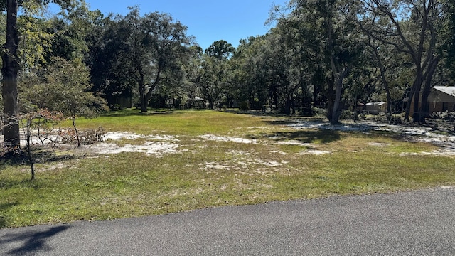 LOT3 Rodney Dr, Freeport FL, 32439 land for sale