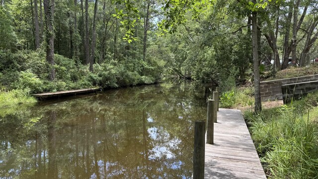 LOT3 Rodney Dr, Freeport, FL 32439 - photo 10