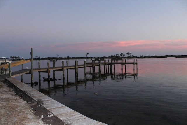 dock area with a water view