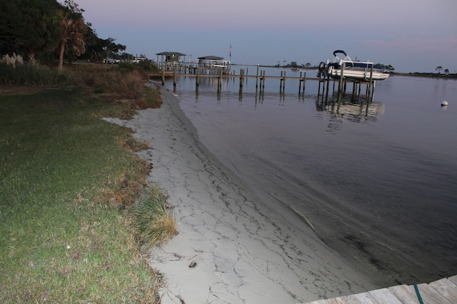 dock area with a water view