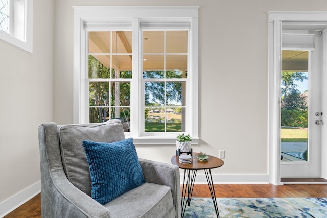 sitting room featuring hardwood / wood-style floors