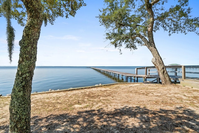 dock area with a water view