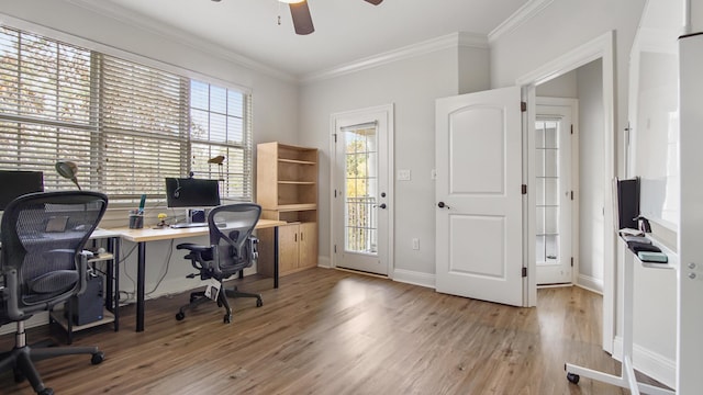 home office with light hardwood / wood-style floors, ceiling fan, and ornamental molding