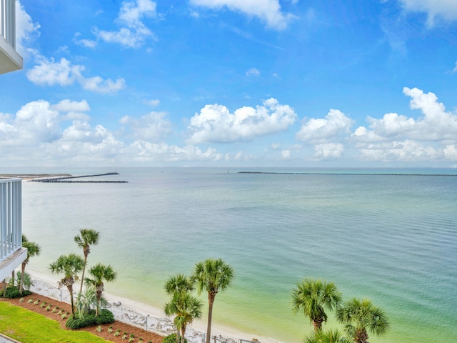 water view featuring a beach view