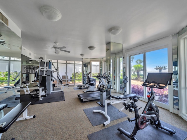 workout area featuring carpet floors, visible vents, and a ceiling fan