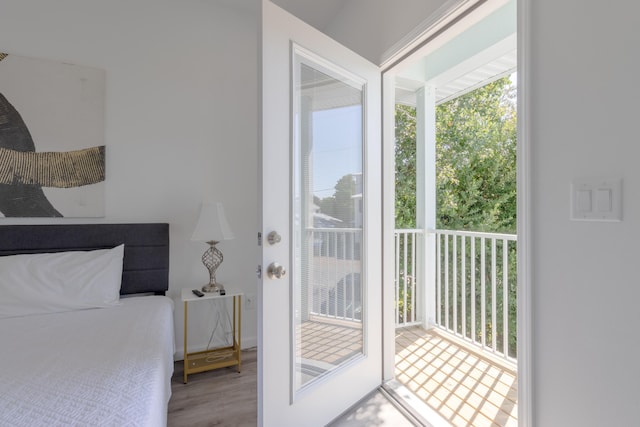 entryway with wood-type flooring