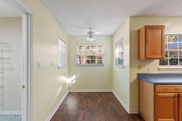 kitchen featuring a textured ceiling, dark hardwood / wood-style floors, a healthy amount of sunlight, and ceiling fan