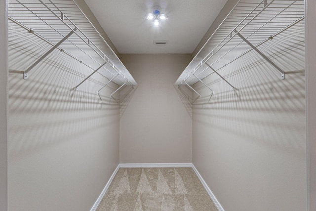 spacious closet featuring carpet flooring